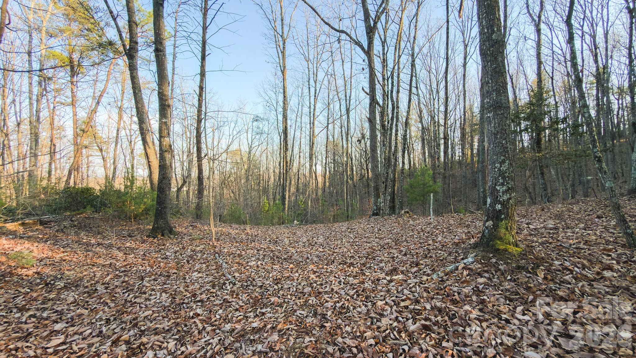 Tbd All Healing Springs Road Taylorsville NC 28681