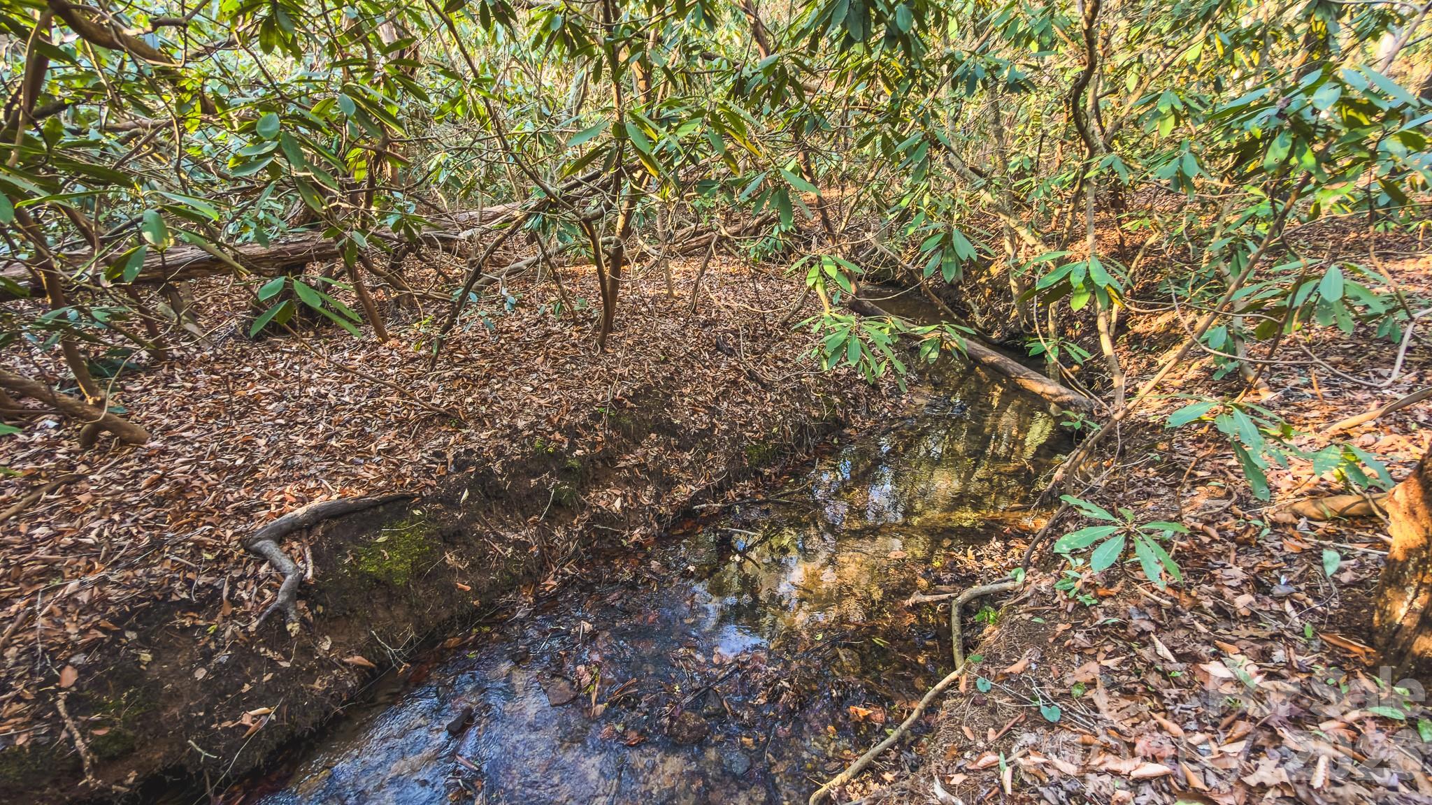 Tbd All Healing Springs Road Taylorsville NC 28681