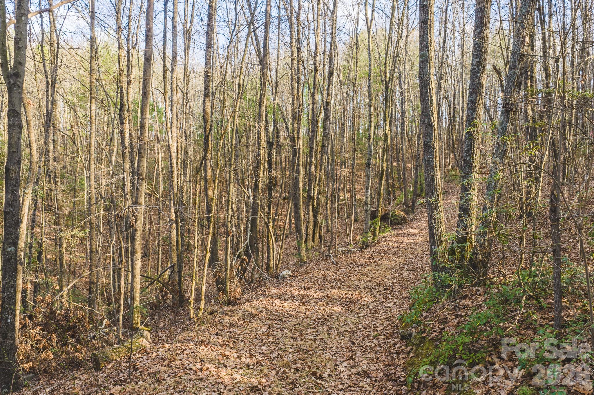 Tbd All Healing Springs Road Taylorsville NC 28681