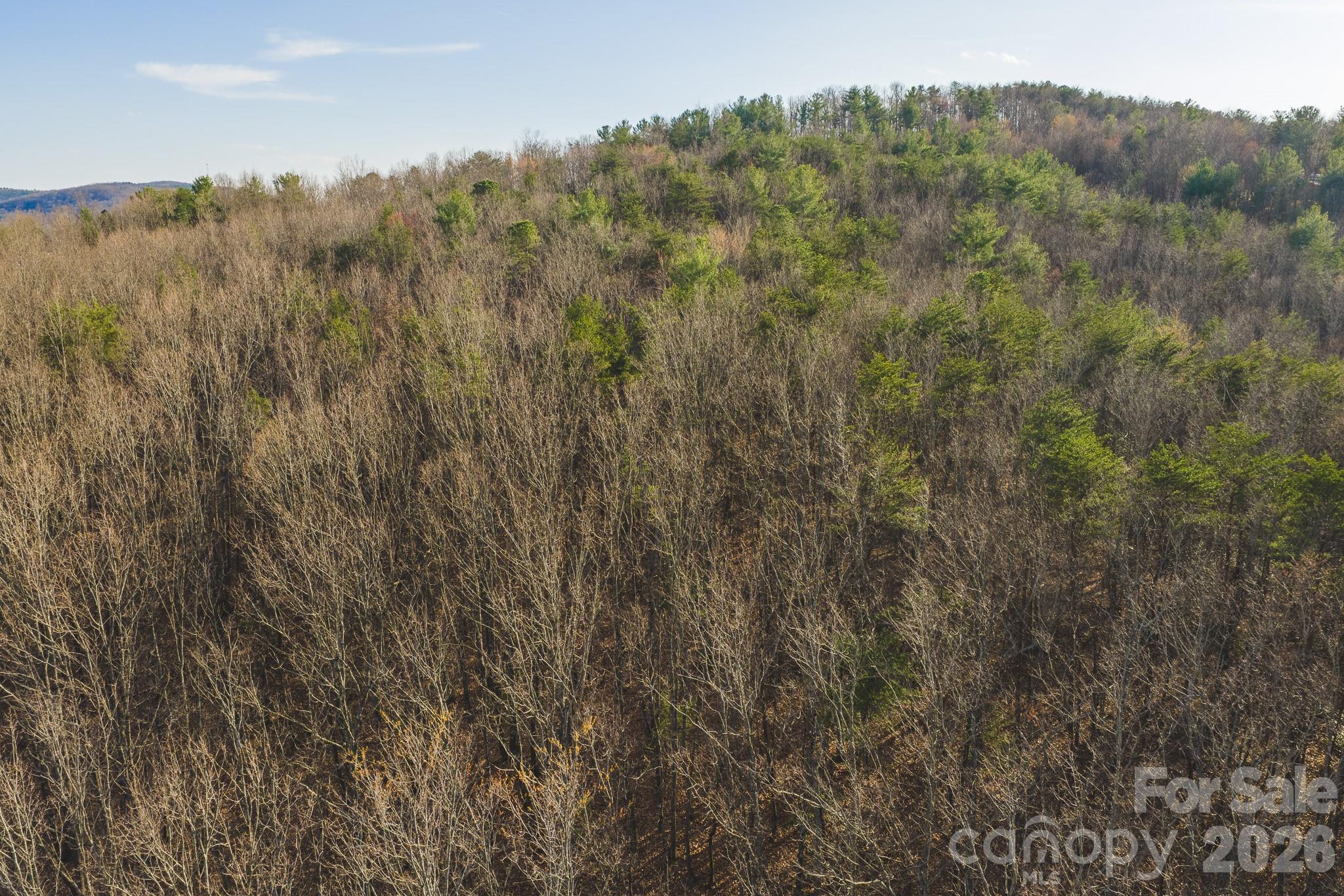 Tbd All Healing Springs Road Taylorsville NC 28681