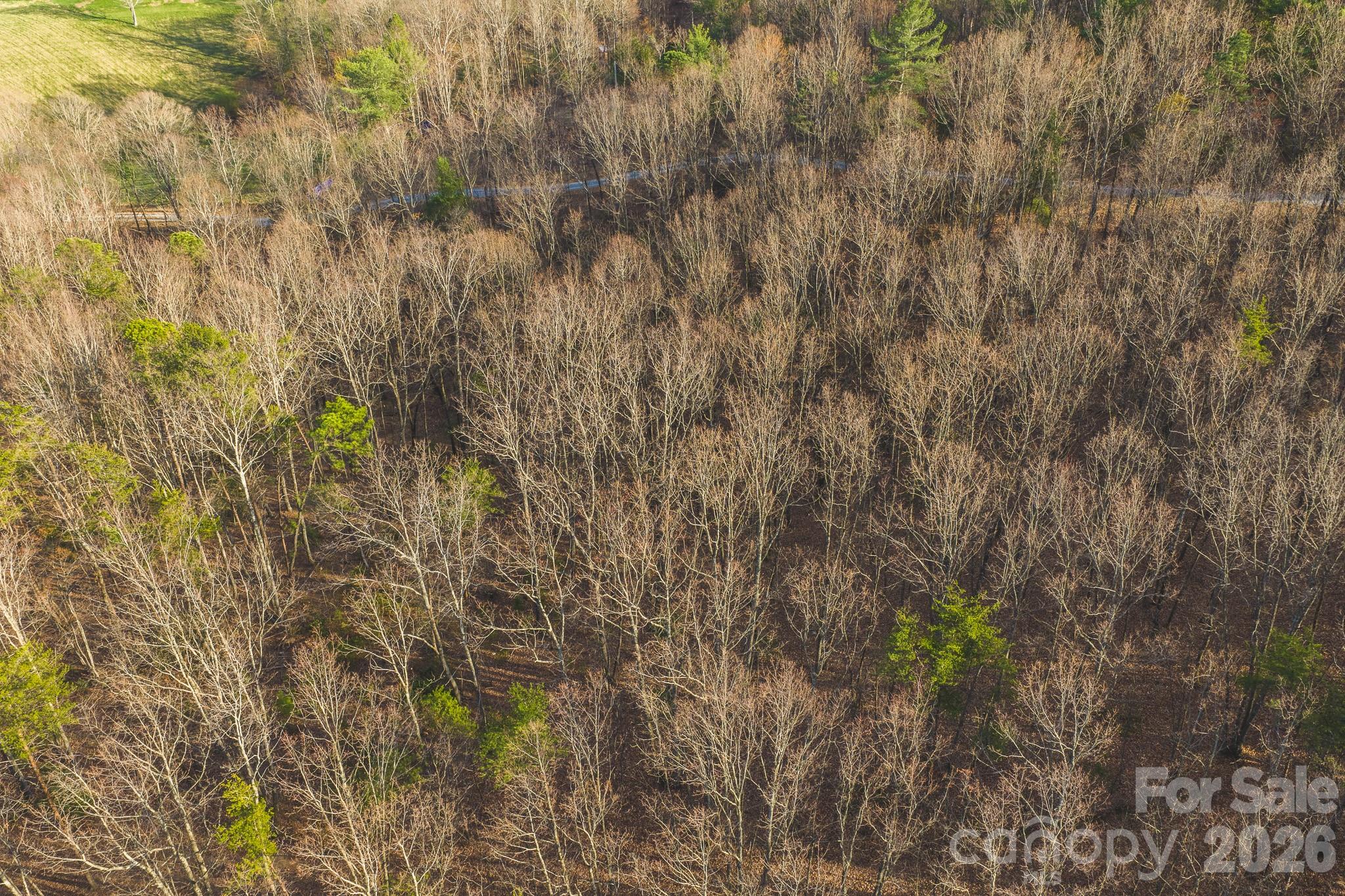 Tbd All Healing Springs Road Taylorsville NC 28681