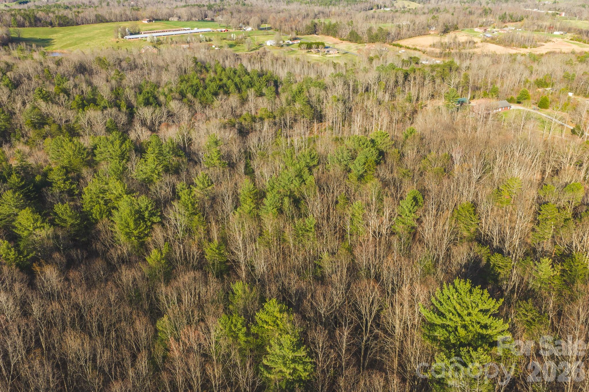 Tbd All Healing Springs Road Taylorsville NC 28681