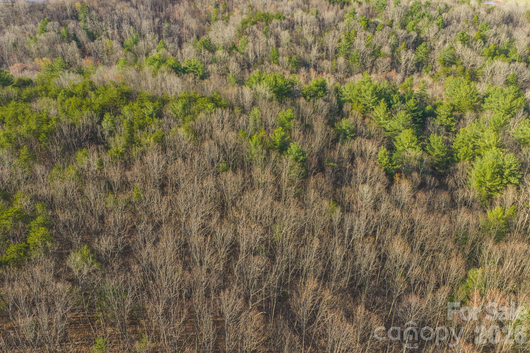 Tbd All Healing Springs Road Taylorsville NC 28681