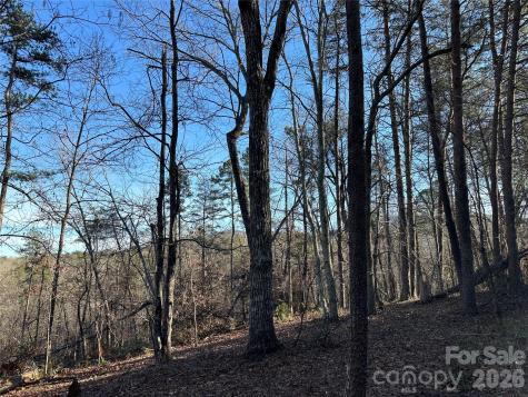 00 Hawkins Lane Mill Spring NC 28756