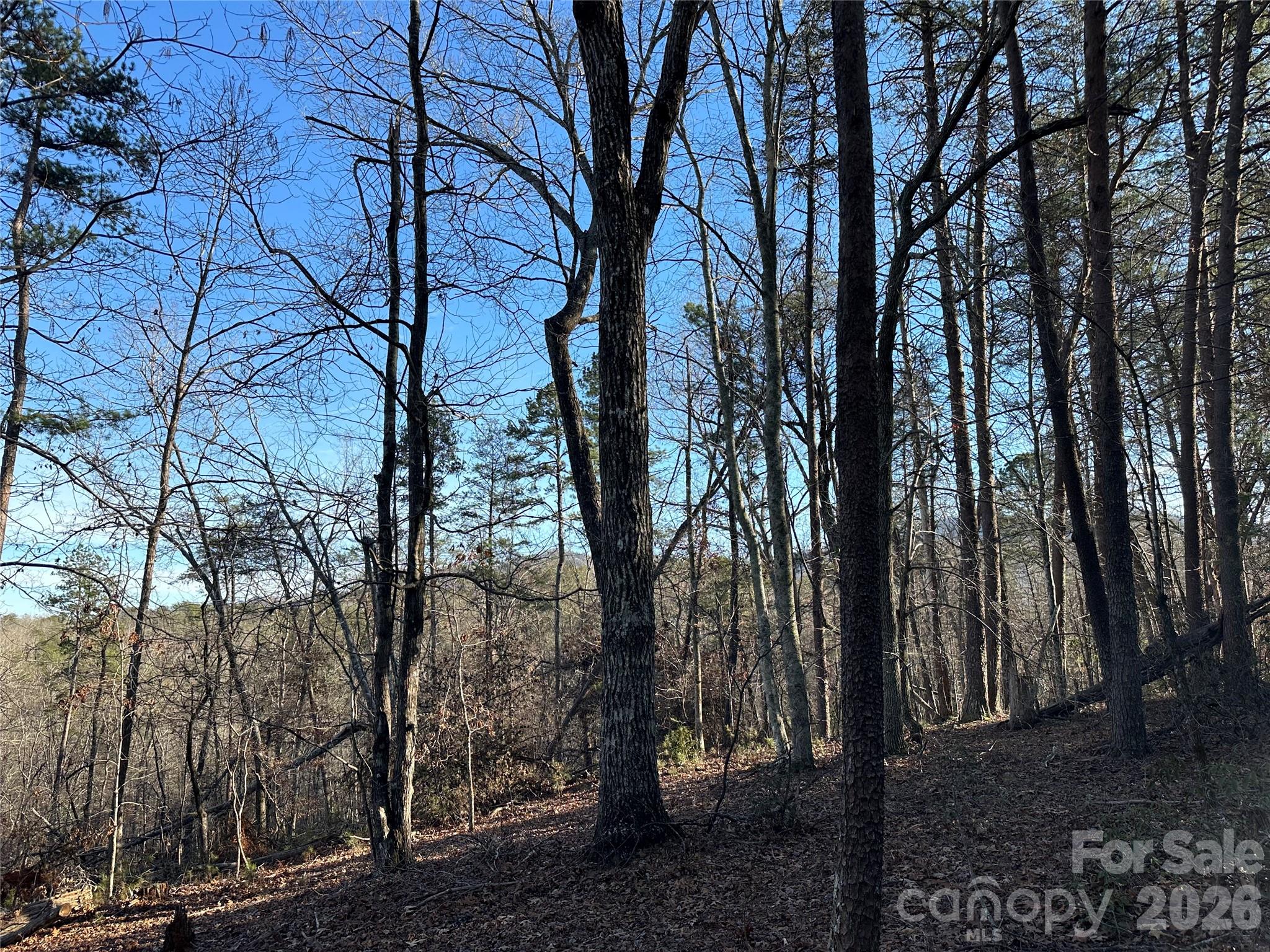 00 Hawkins Lane Mill Spring NC 28756