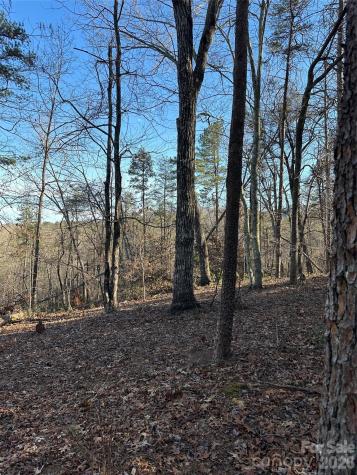 00 Hawkins Lane Mill Spring NC 28756