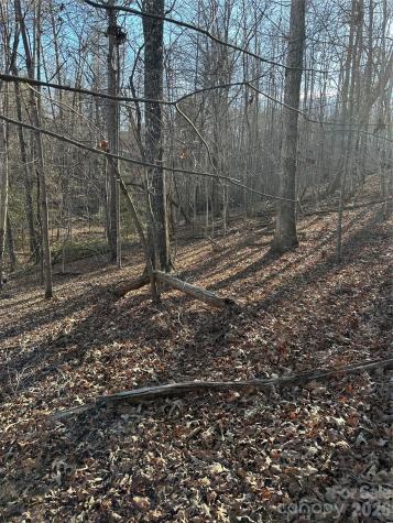 00 Hawkins Lane Mill Spring NC 28756