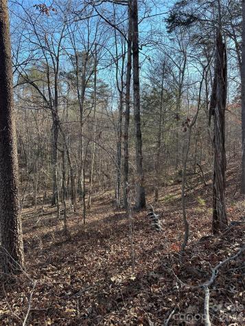 00 Hawkins Lane Mill Spring NC 28756