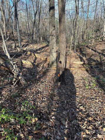 00 Hawkins Lane Mill Spring NC 28756