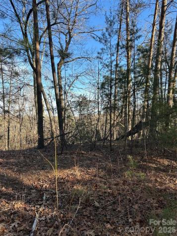 00 Hawkins Lane Mill Spring NC 28756