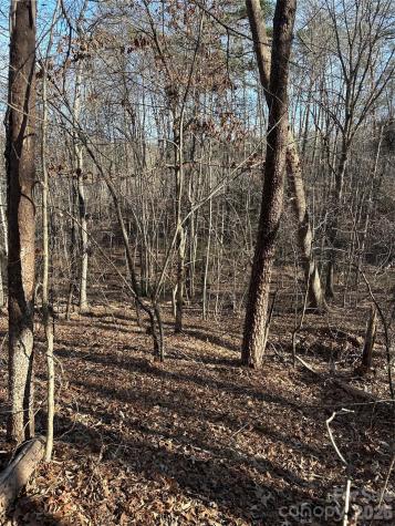 00 Hawkins Lane Mill Spring NC 28756