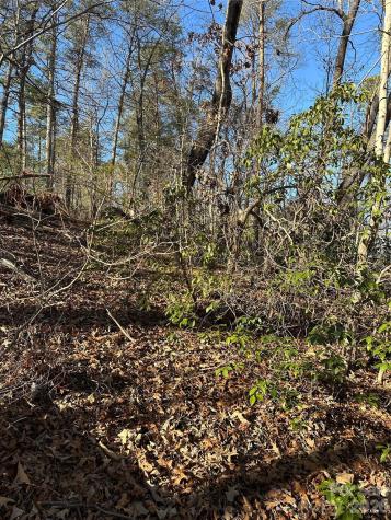 00 Hawkins Lane Mill Spring NC 28756