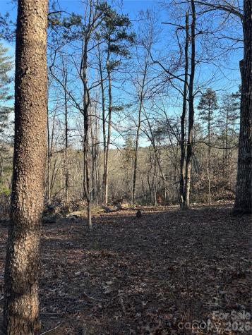 00 Hawkins Lane Mill Spring NC 28756