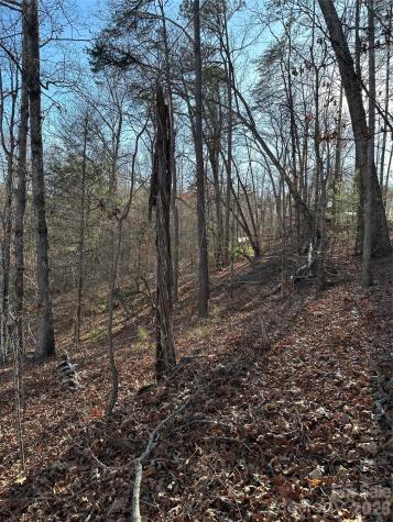 00 Hawkins Lane Mill Spring NC 28756