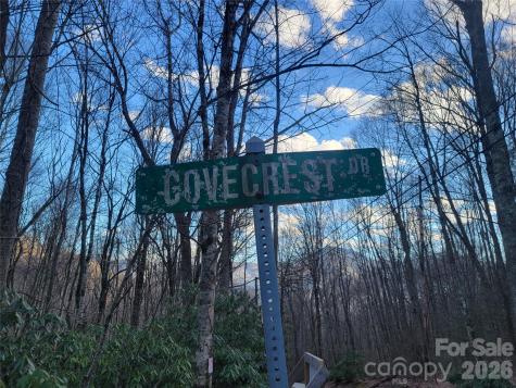 00 Covecrest Lane Maggie Valley NC 28751