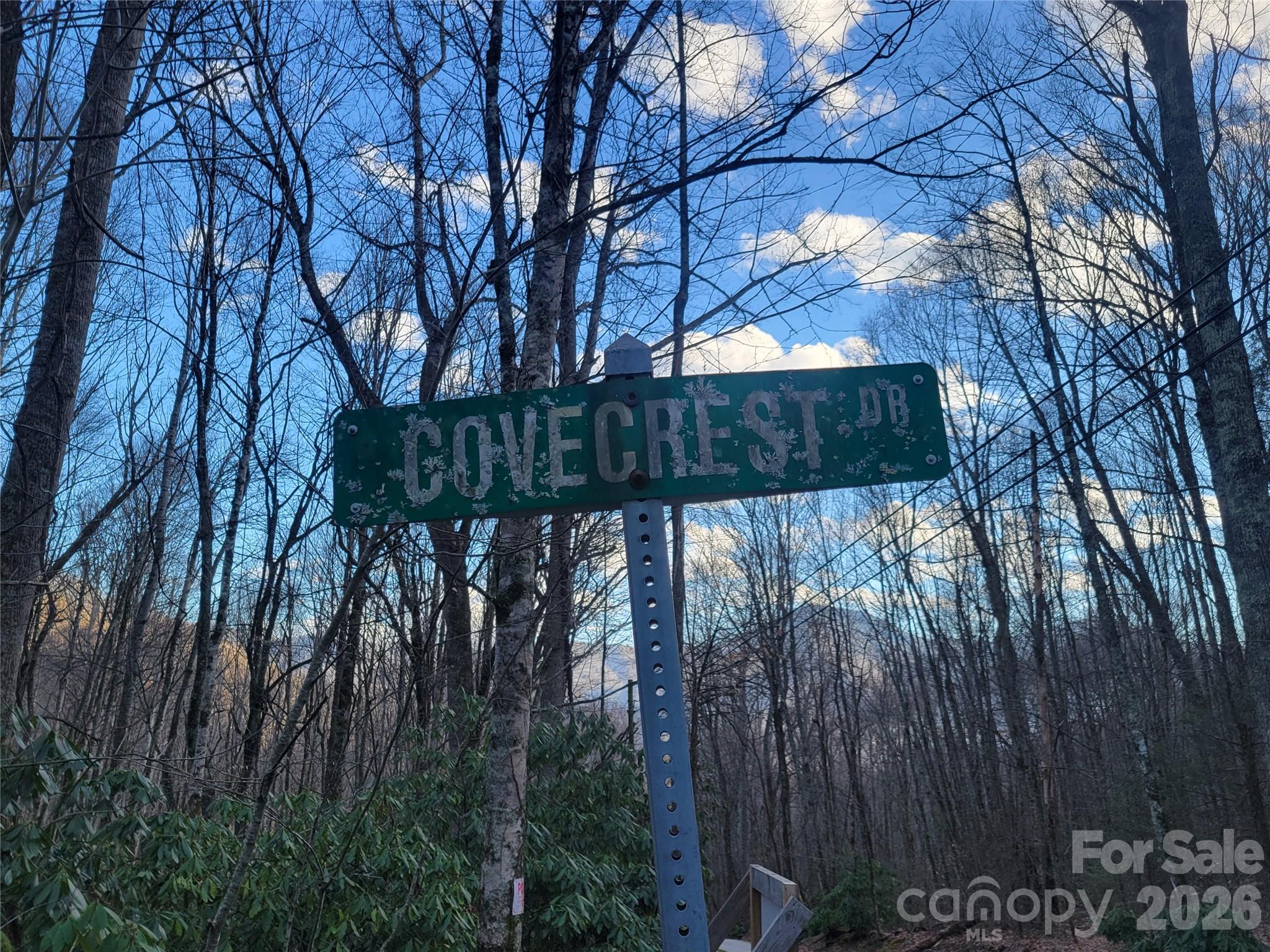00 Covecrest Lane Maggie Valley NC 28751