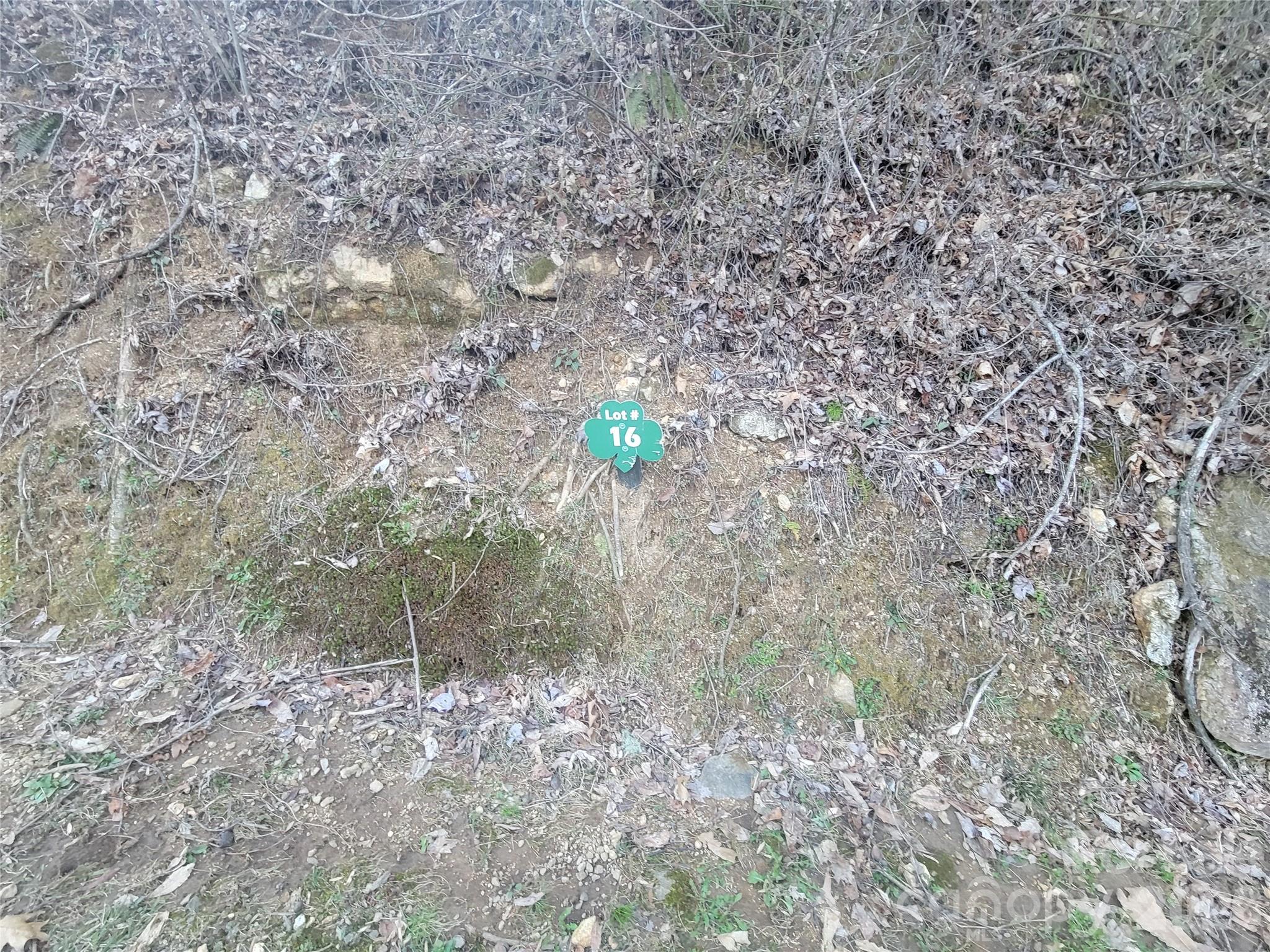 00 Covecrest Lane Maggie Valley NC 28751