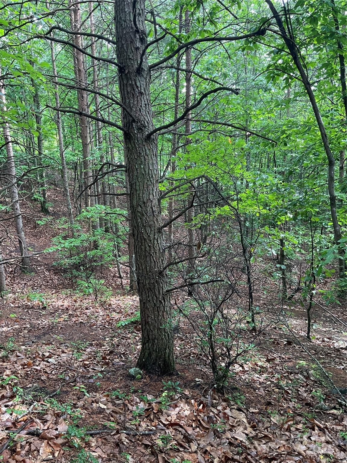 0 Valley View Court Hickory NC 28602