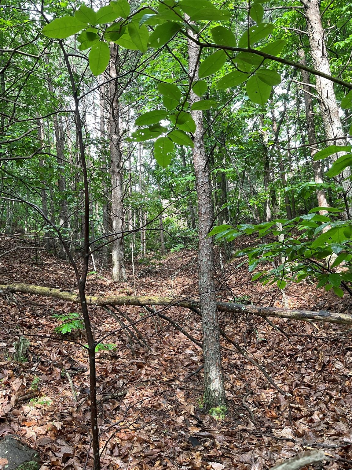 0 Valley View Court Hickory NC 28602