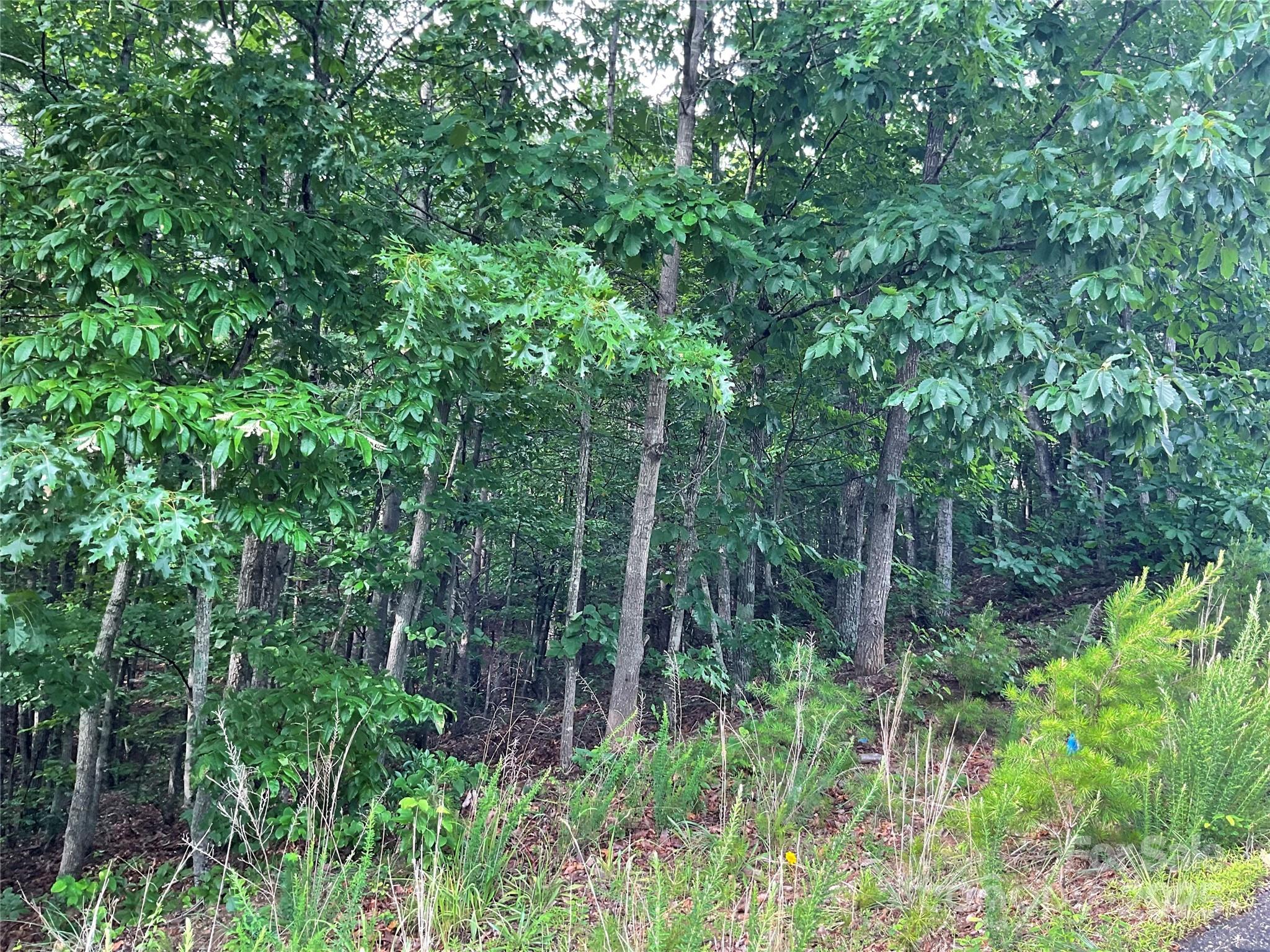0 Valley View Court Hickory NC 28602
