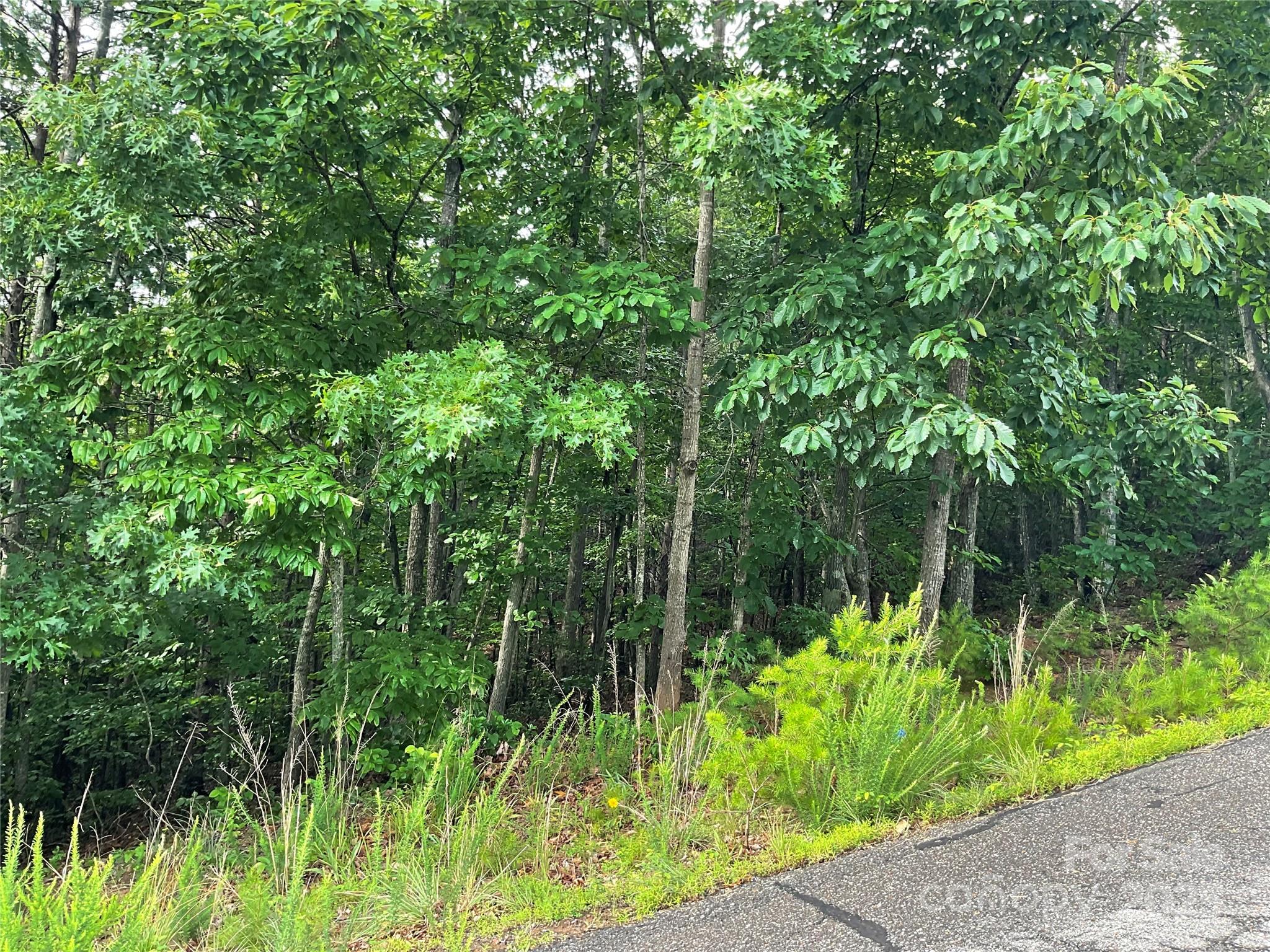 0 Valley View Court Hickory NC 28602