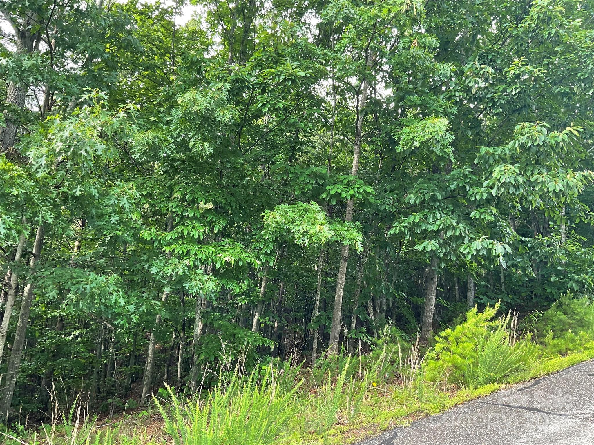 0 Valley View Court Hickory NC 28602