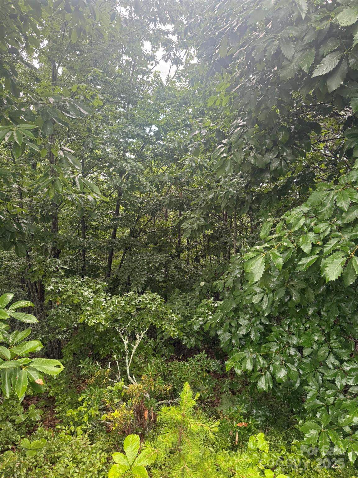 0 Valley View Court Hickory NC 28602