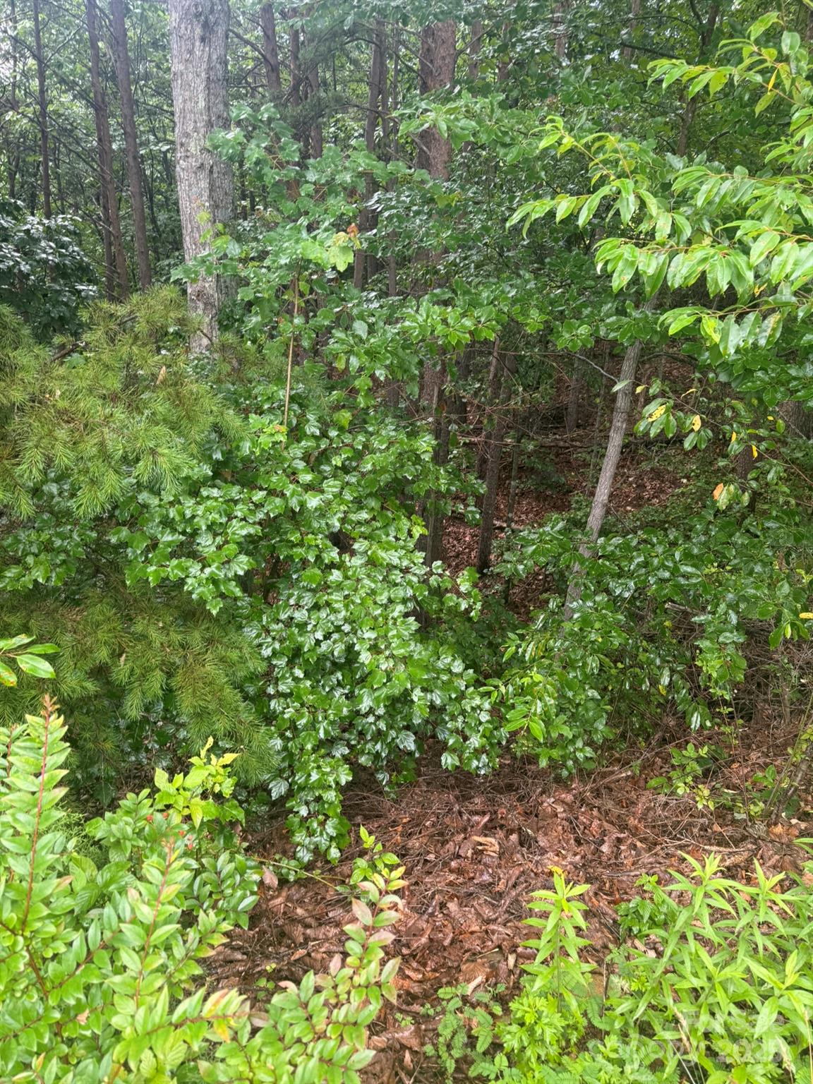 0 Valley View Court Hickory NC 28602