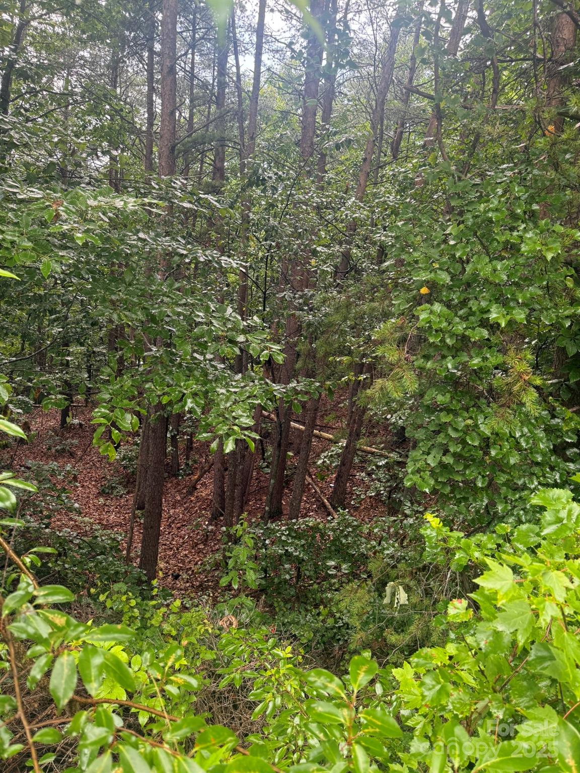0 Valley View Court Hickory NC 28602