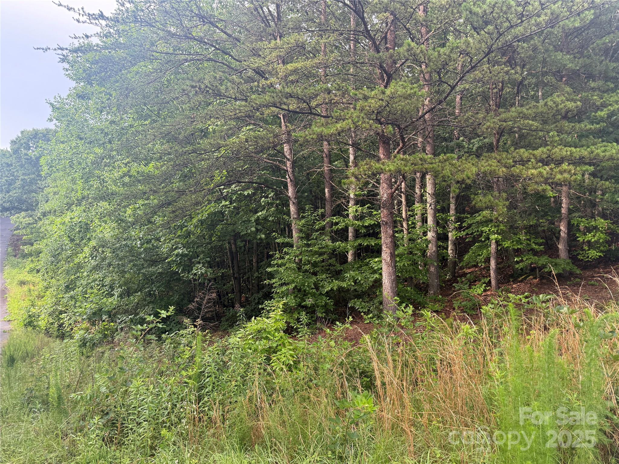 0 Valley View Court Hickory NC 28602