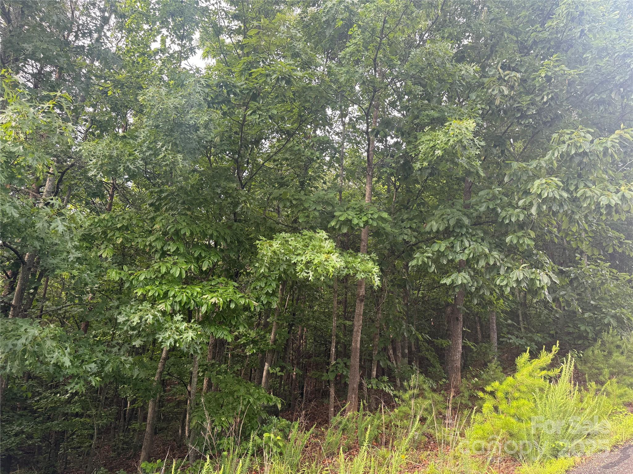 0 Valley View Court Hickory NC 28602