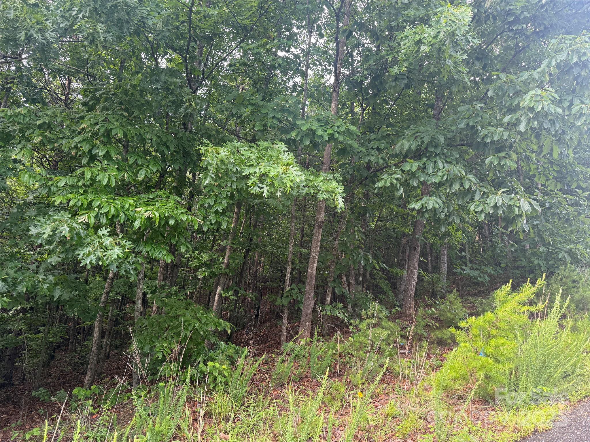 0 Valley View Court Hickory NC 28602