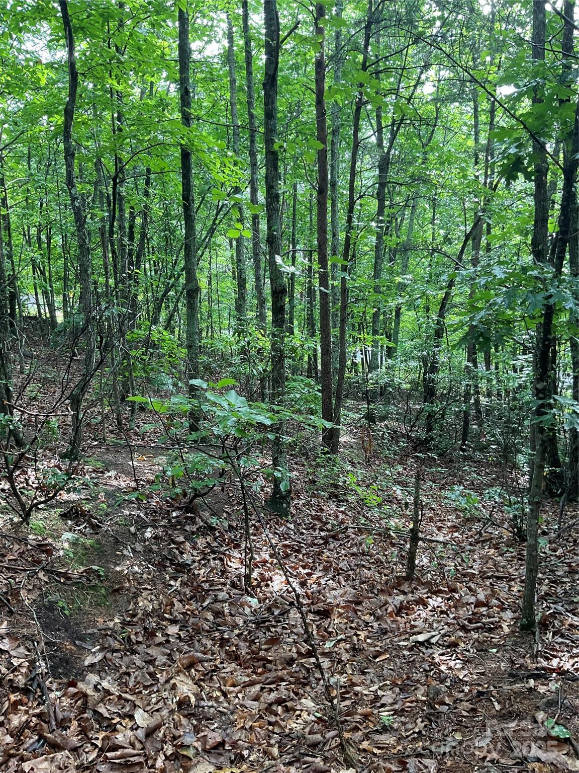 0 Valley View Court Hickory NC 28602