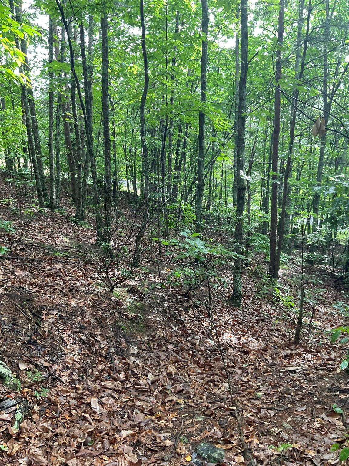 0 Valley View Court Hickory NC 28602
