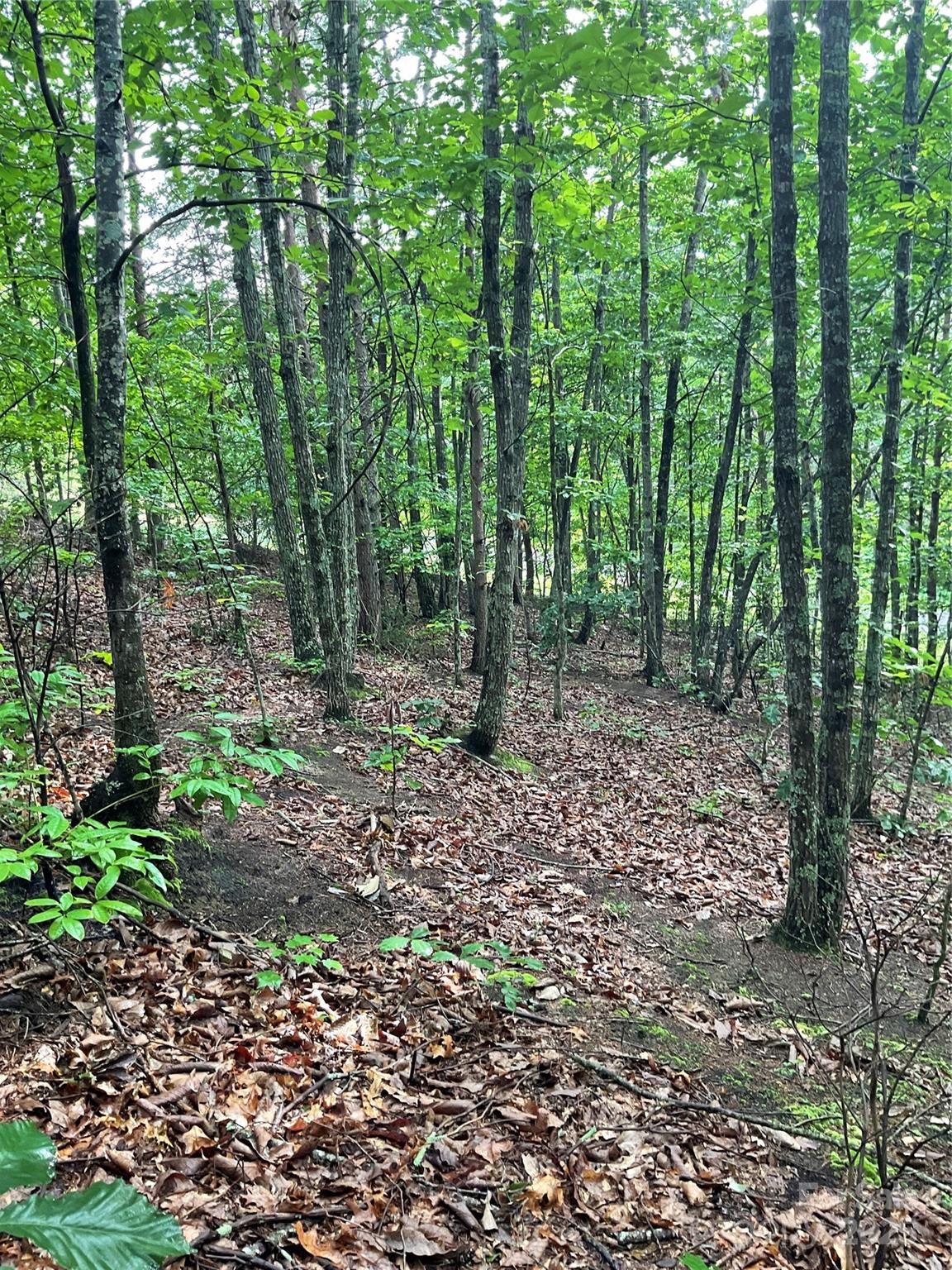 0 Valley View Court Hickory NC 28602