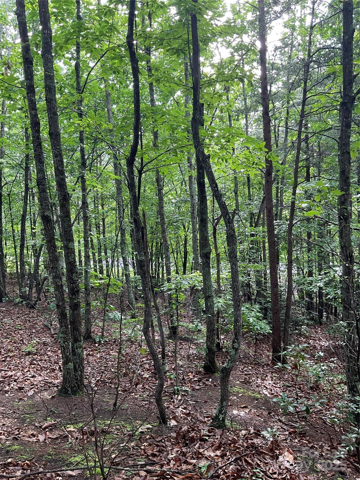 0 Valley View Court Hickory NC 28602