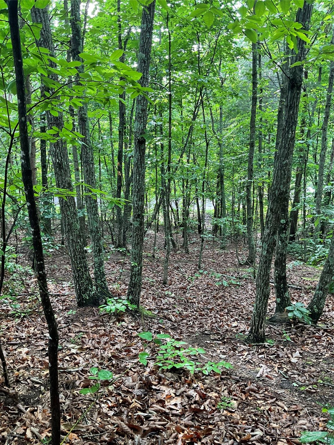 0 Valley View Court Hickory NC 28602