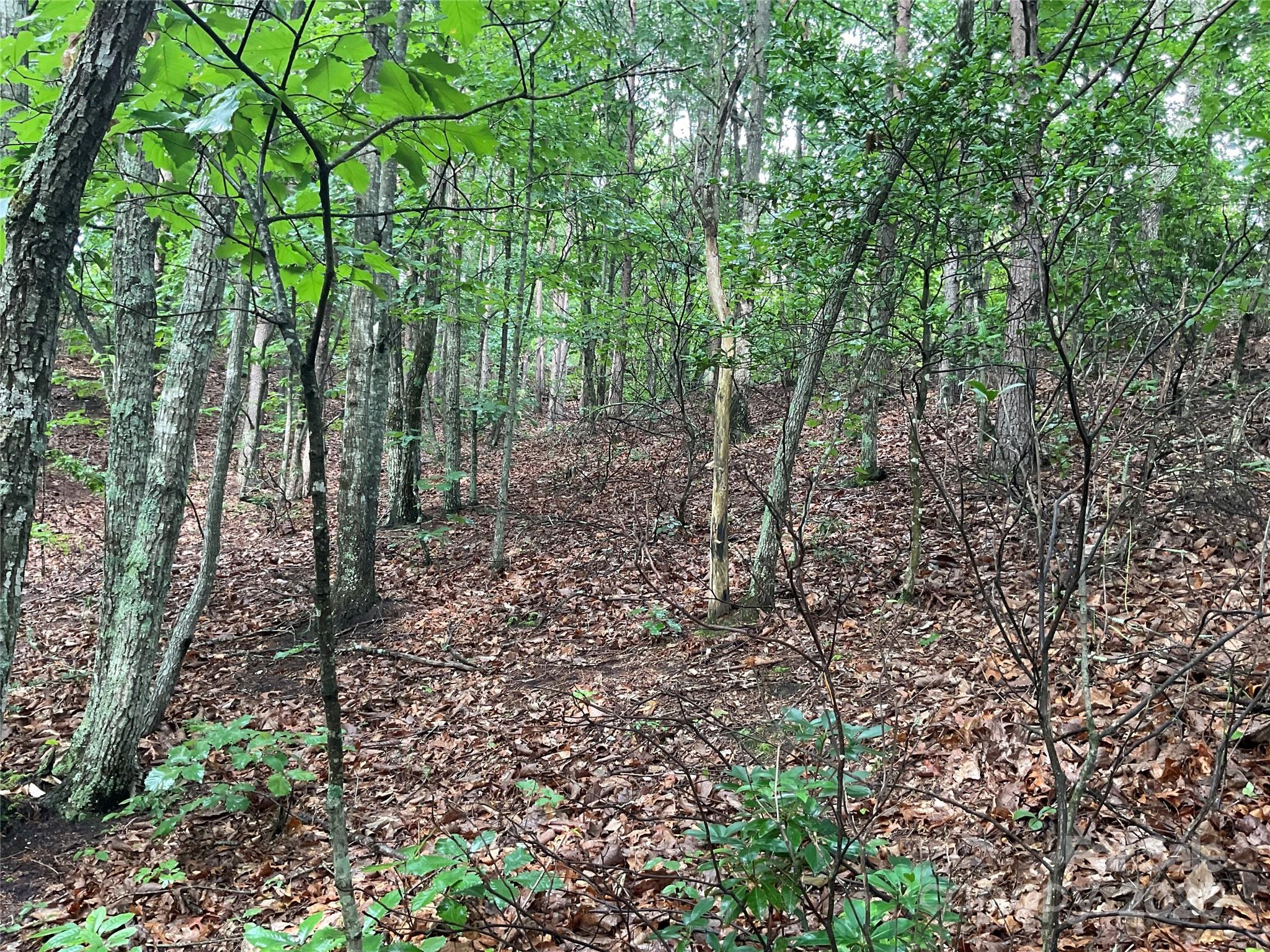 0 Valley View Court Hickory NC 28602