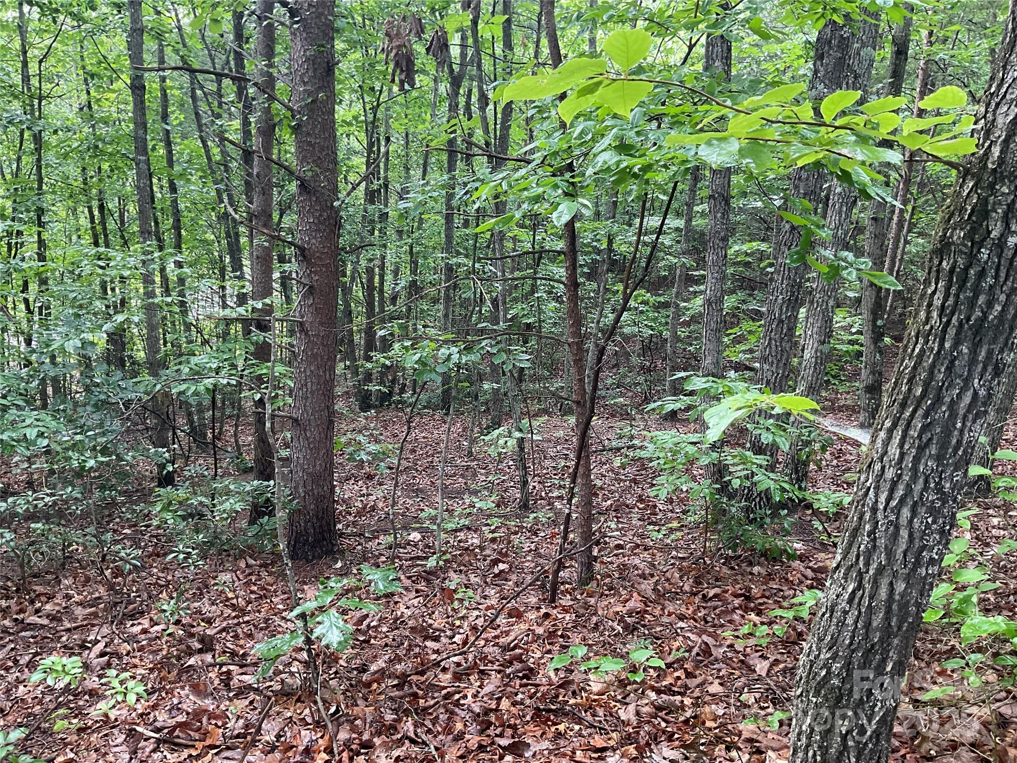 0 Valley View Court Hickory NC 28602
