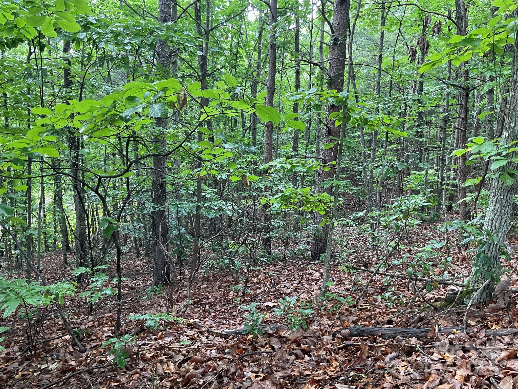 0 Valley View Court Hickory NC 28602