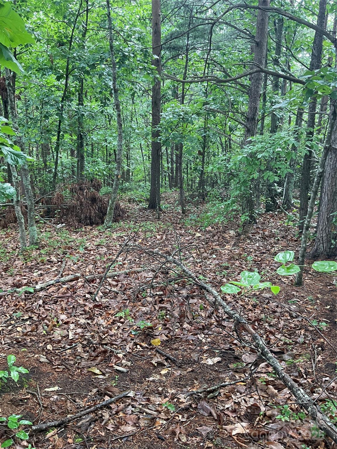0 Valley View Court Hickory NC 28602