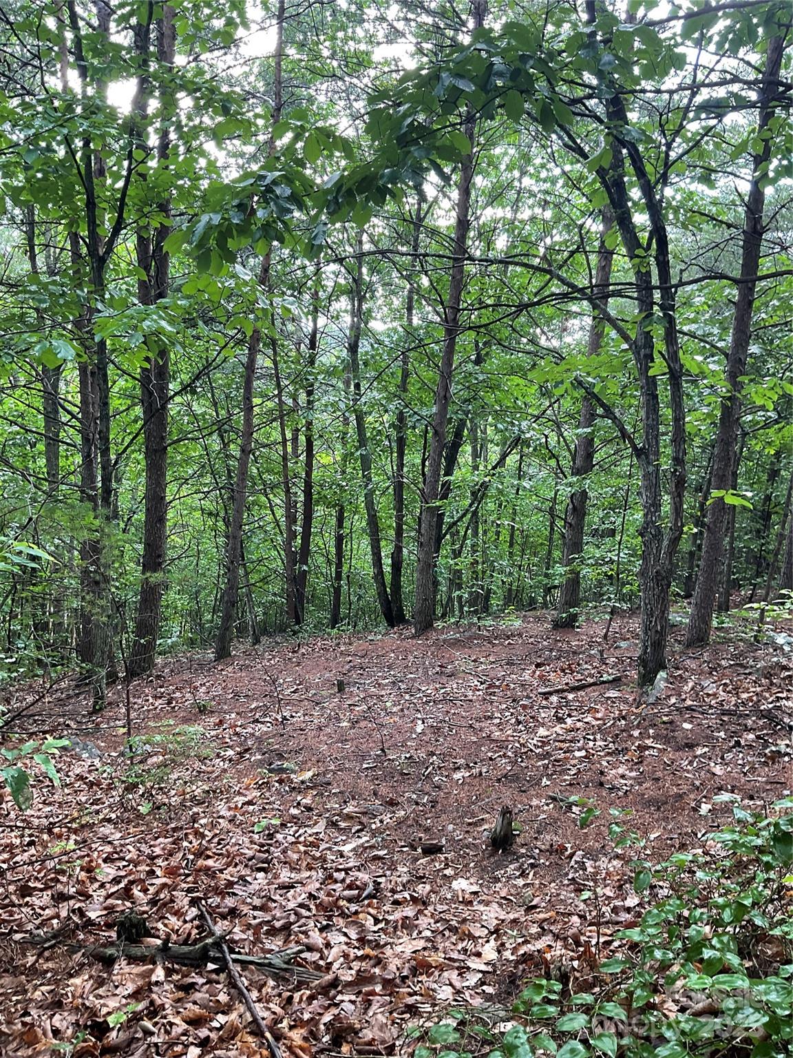 0 Valley View Court Hickory NC 28602
