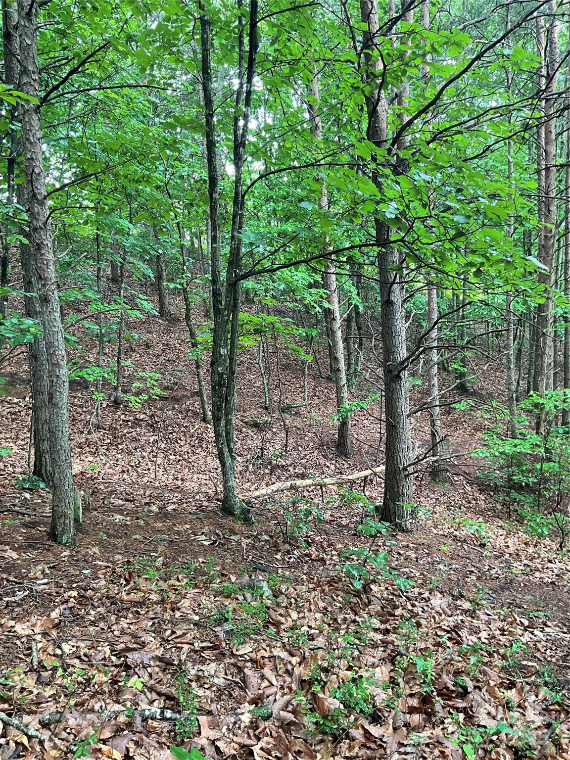 0 Valley View Court Hickory NC 28602