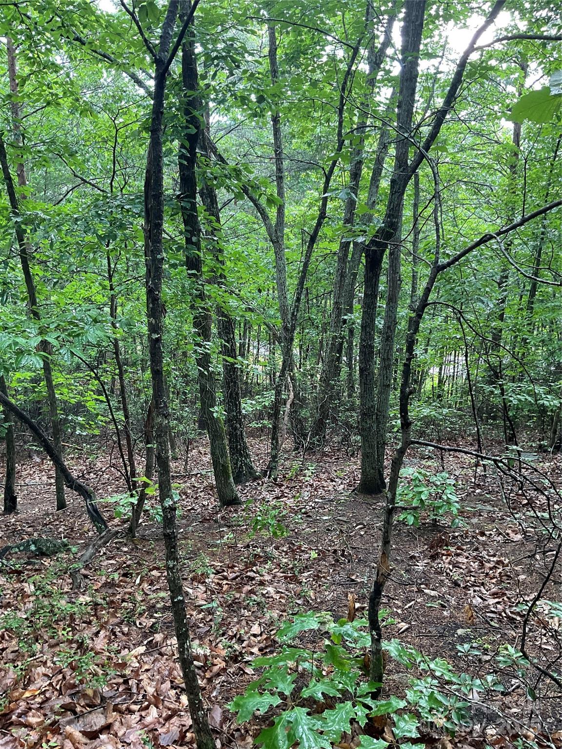0 Valley View Court Hickory NC 28602