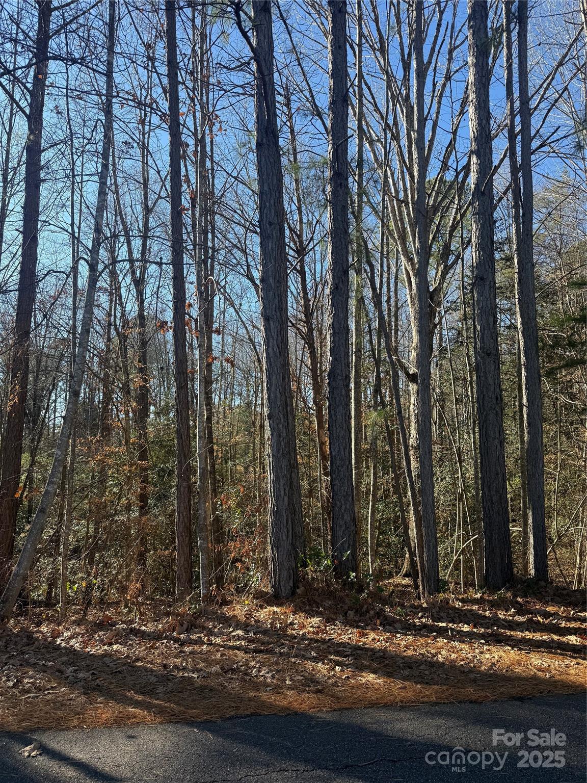 6029 Chaucer Lane Granite Falls NC 28630