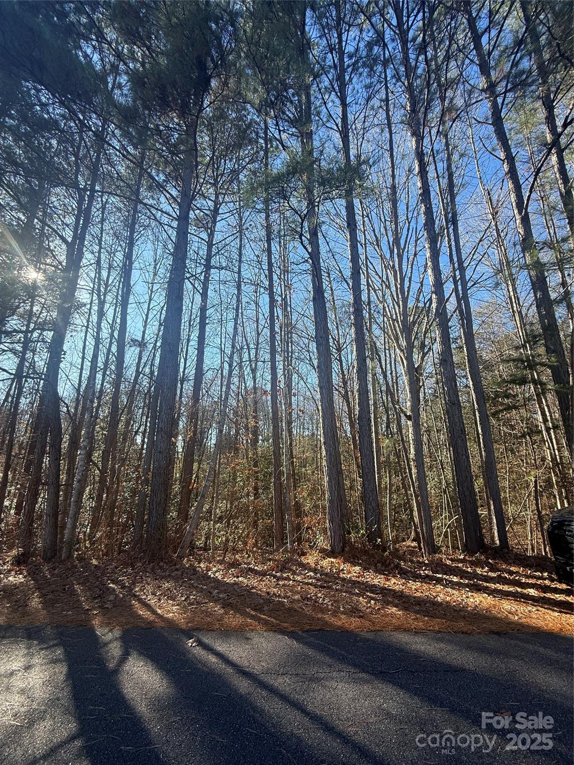 6029 Chaucer Lane Granite Falls NC 28630