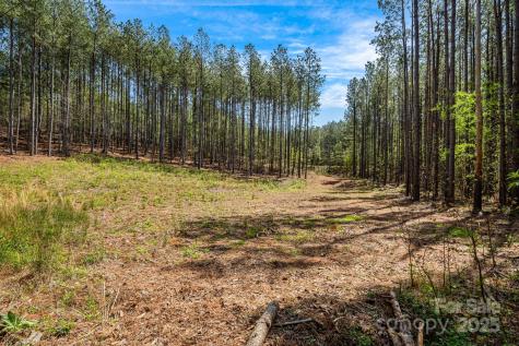 19 Sunset Drive Mill Spring NC 28756