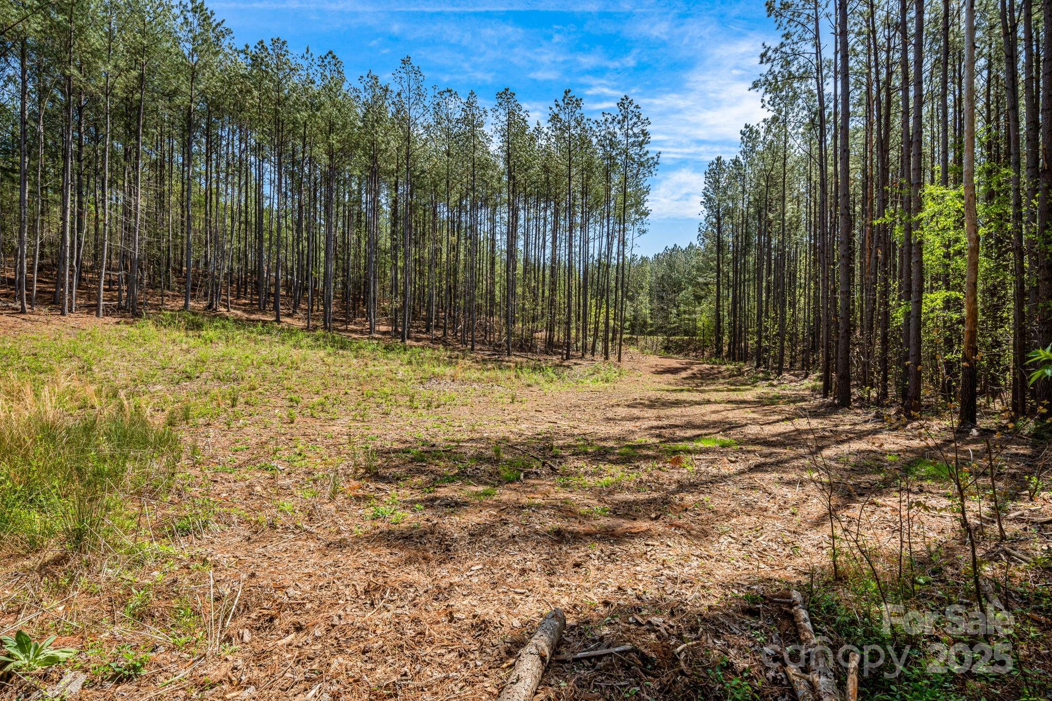 19 Sunset Drive Mill Spring NC 28756