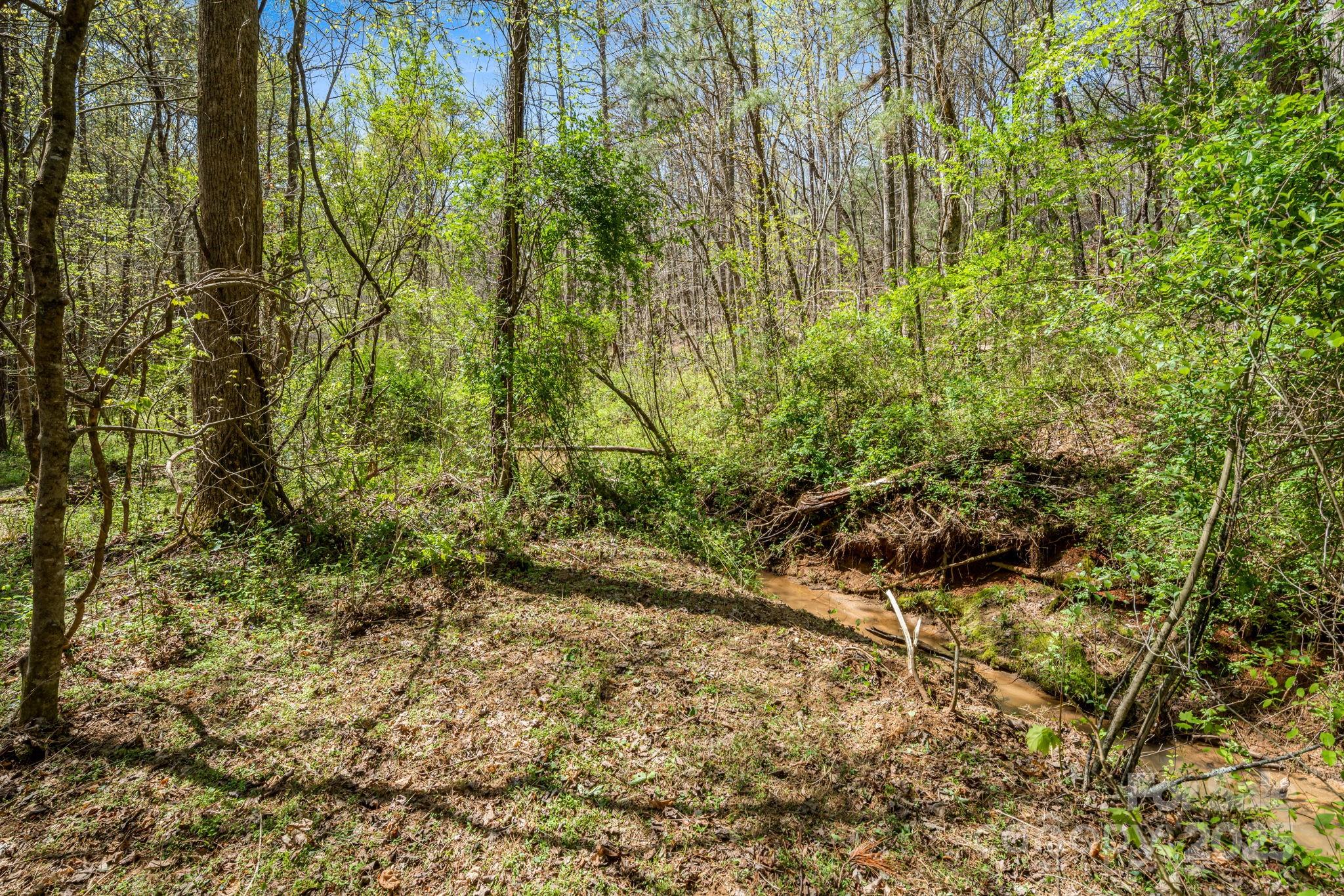 19 Sunset Drive Mill Spring NC 28756