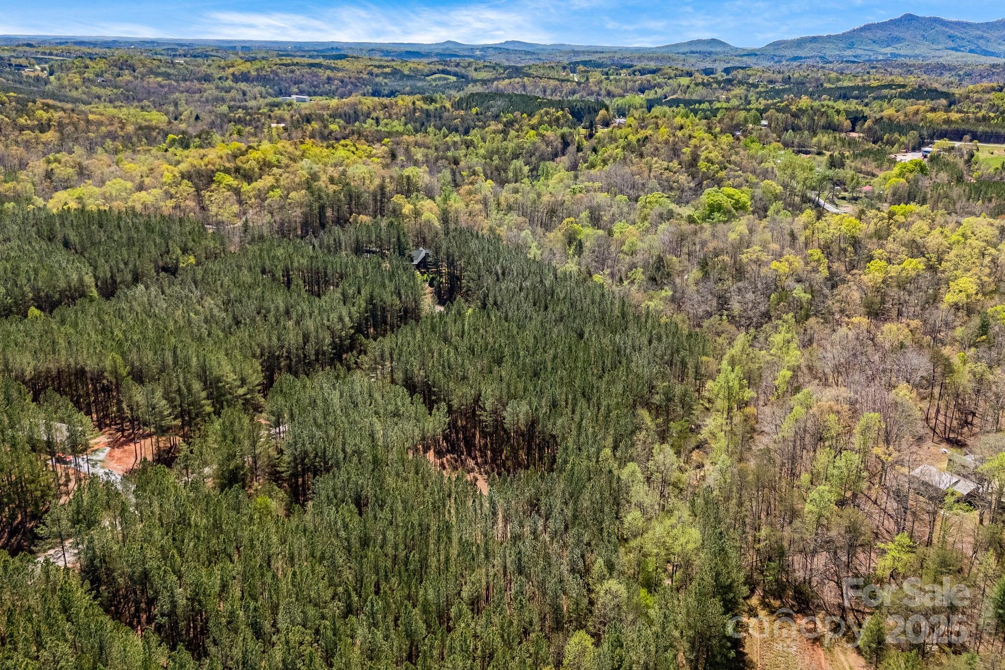19 Sunset Drive Mill Spring NC 28756